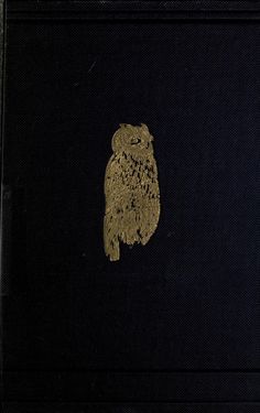 a close up of a small teddy bear on a piece of black paper with gold foil