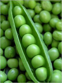 peas are shown with green leaves on the top and one pea is in the middle