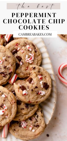 peppermint chocolate chip cookies in a pile after baking surrounded by candy canes. Peppermint Chocolate Chip Cookies, Bbq Dessert, Peppermint Chocolate, Christmas Baking Recipes, Christmas Food Desserts, Christmas Cooking, Baking Sweets, Chocolate Peppermint, Cookies Recipes Christmas