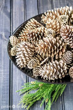 a black plate filled with pine cones on top of a wooden table