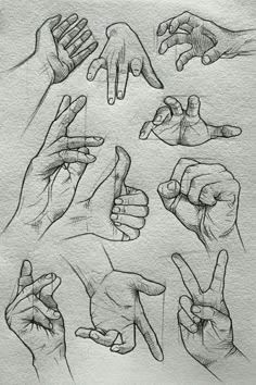 many different hands are shown in this drawing