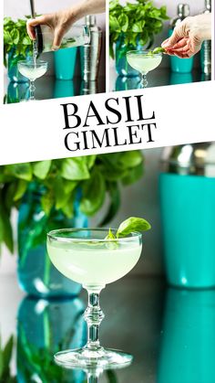 the basil gimlet cocktail is garnished with mint