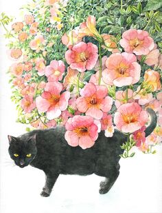 a painting of a black cat and pink flowers