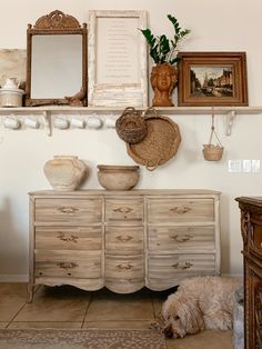 a dog is laying on the floor in front of a dresser with pictures and vases