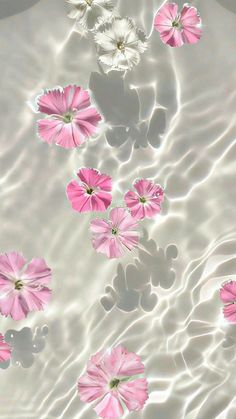 some pink and white flowers floating in water