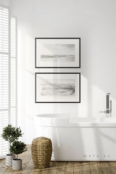 a bathroom with white walls and wooden flooring next to a plant in a vase