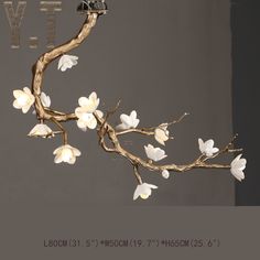 a branch with white flowers hanging from it's sides and the words live above it