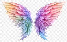 an angel wing with multicolored wings, hd png