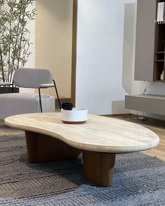 a coffee table in the middle of a living room with a plant on top of it