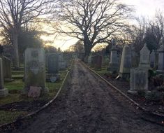 an old cemetery with many headstones and trees in the background on a dirt road