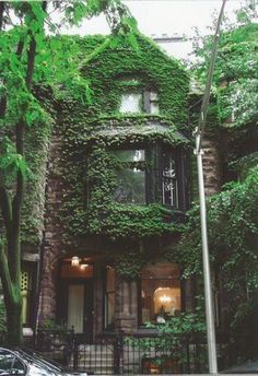 a car parked in front of a tall building covered in green plants and ivys