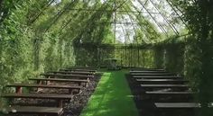 rows of wooden benches sitting in the middle of a lush green park