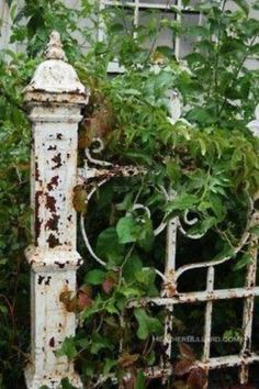 an old iron gate with vines growing on it and ivy growing up the side of it