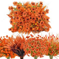 an arrangement of orange flowers in vases