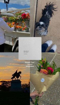 a collage of photos with flowers and a person holding a dog in the background