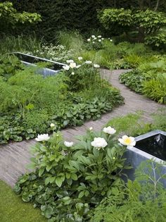 a garden with lots of plants and flowers growing in it's sides, next to a wooden walkway