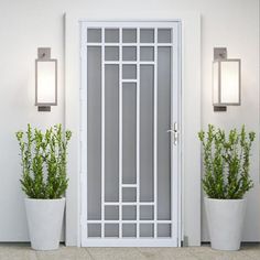 two potted plants are sitting in front of a white door with glass panels on it