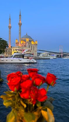 red flowers are in front of the water and a large building with two towers behind it