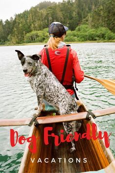 a person in a canoe with a dog on the front row seat and trees in the background