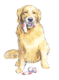 a watercolor drawing of a dog with a bone in its mouth and a toy