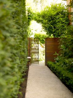 an open gate in the middle of a garden with green plants on either side and a bench at the end