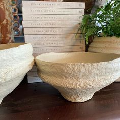 two large stone bowls sitting on top of a wooden table next to each other with plants in them