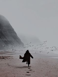 a person walking on the beach with birds flying around