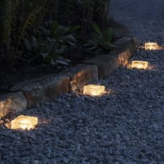 some lights are lit up on the ground in front of rocks and plants at night