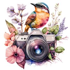 a bird sitting on top of a camera next to some flowers and plants with watercolor paint