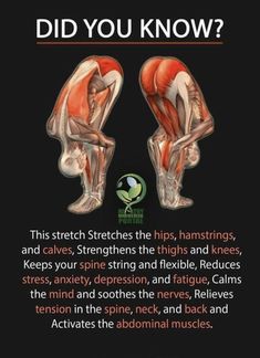 two muscles are shown with the words, did you know? and an image of them