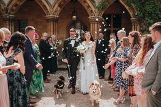 a bride and groom are walking their dog down the aisle as confetti flies in the air