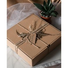 a brown box with a bow on it sitting next to a potted plant