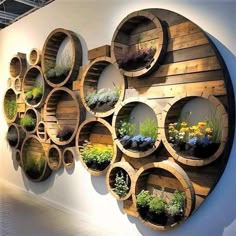 a bunch of circular wooden shelves with plants in them on the side of a wall