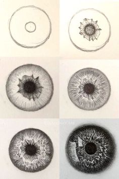 four different types of eyes are shown in black and white, each with an individual's eyeball