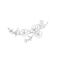 a line drawing of flowers on a white background