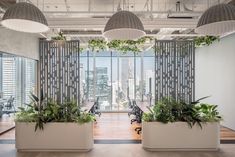 an office with two planters on the wall and large windows overlooking cityscape