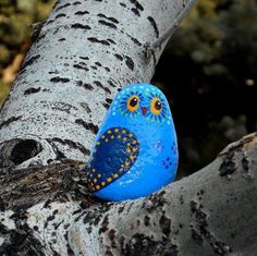 a blue bird sitting on top of a tree