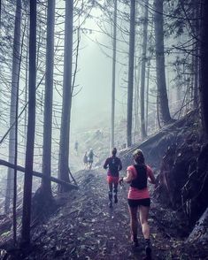 several people are running up a trail in the woods on a foggy, rainy day