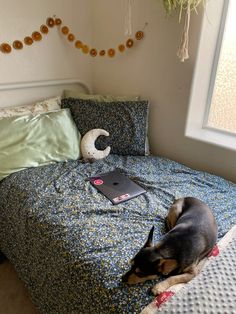 a dog laying on top of a bed next to a laptop computer