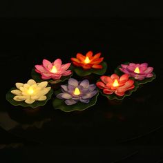 floating lotus flower candles on a black surface