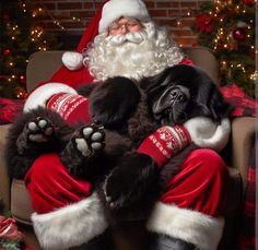 a man dressed as santa claus sitting in a chair with his feet on the dog's lap