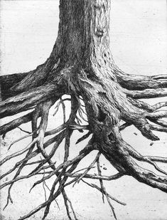 a drawing of a tree with its roots exposed