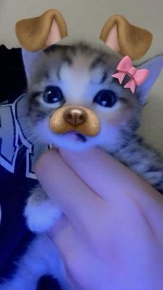 a person holding a small kitten with fake ears on it's head and nose