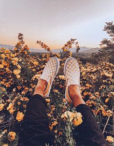 a person's feet in checkered slip - ons standing in a field of yellow flowers