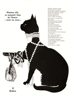 a black and white cat with pearls on it's neck sitting next to a bag