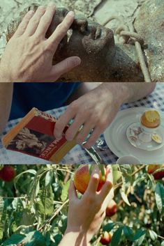 two pictures with hands reaching for an apple on a plate and another hand picking apples from the tree