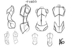 an image of how to draw female torsos in different positions and sizes, including the top