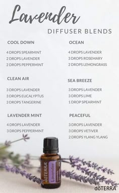 Lavender Essential Oil Uses, Lavender Oil Benefits, Lilin Aroma, Simmer Pots, Essential Oils Diffuser Blends, Doterra Diffuser, Doterra Diffuser Blends, Essential Oil Combinations, Doterra Essential Oils Recipes