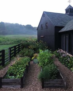 a black barn with lots of plants growing out of it