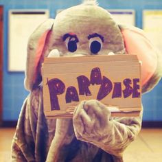 a person in an elephant costume holding a sign with the word paradise written on it